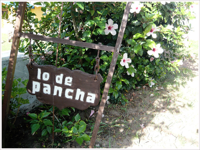 Pancha's