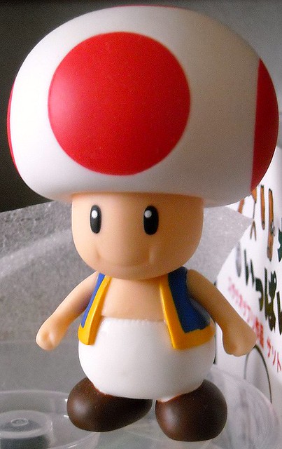 Toad toy