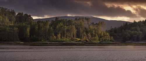 trees sunset scotland coastline loch ardnamurchan westhighlands moidart sunart