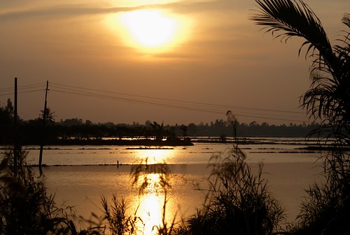 sunset rice vietnam mekongdelta mekong