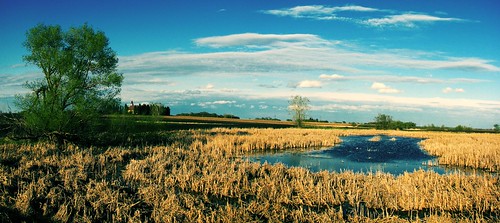 Wetland. by Varanos