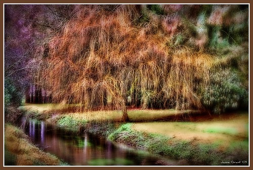 county ireland winter castle stone reflections cork eire pixie explore willow blarney paysage weepingwillow weeping oconnor gaelic hdr blarneycastle picnik lonelytree mcpherson countykerry jamiegrant johnnydull