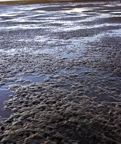 144 by Justin Moraczewski, lighthouse color film sunrise mediumformat kodak portra stmarks c41 400nc mamiyarz67