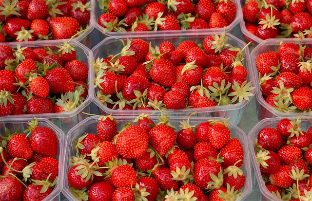 Fraises | Strawberries | Aardbeien