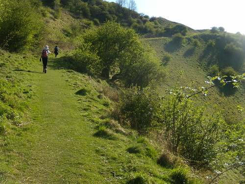 Up the downs Pulborough to Amberley