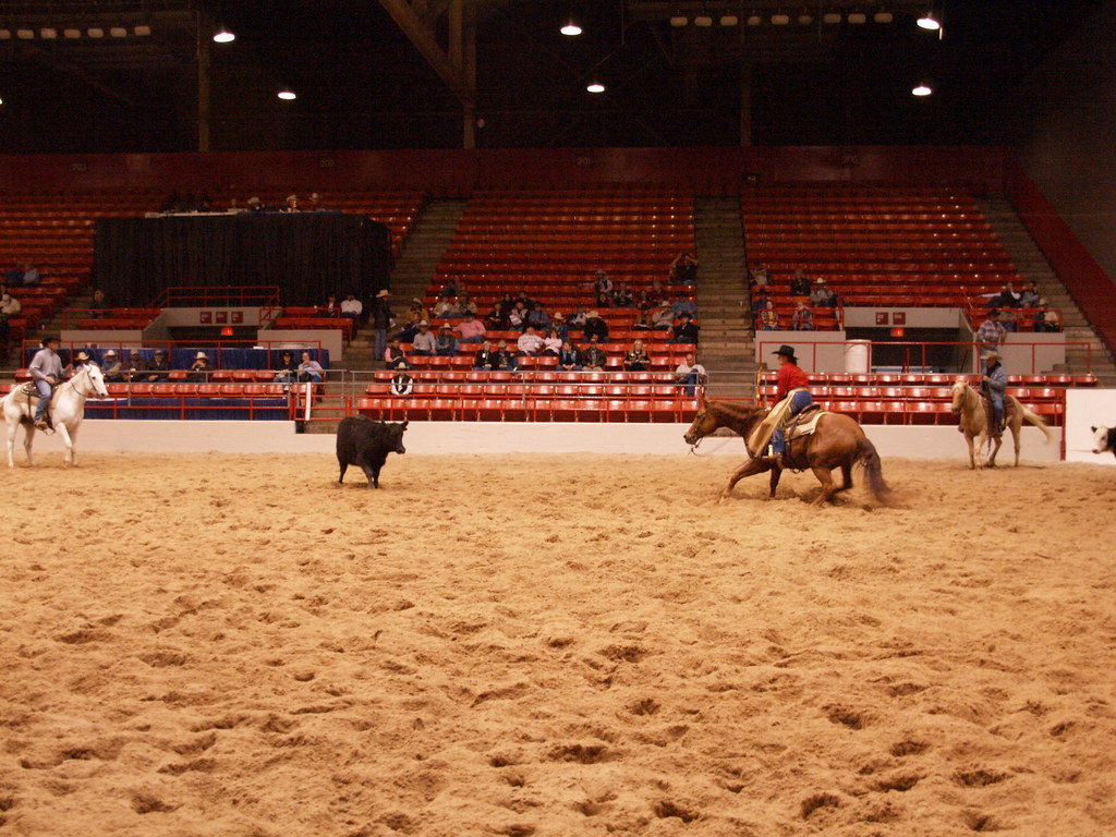 fort worth livestock show and rodeo 2013