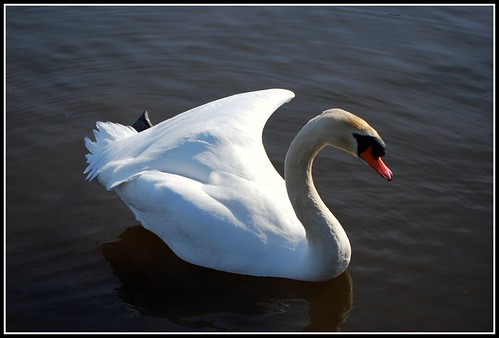 COOLING OFF | by Glen C Photography