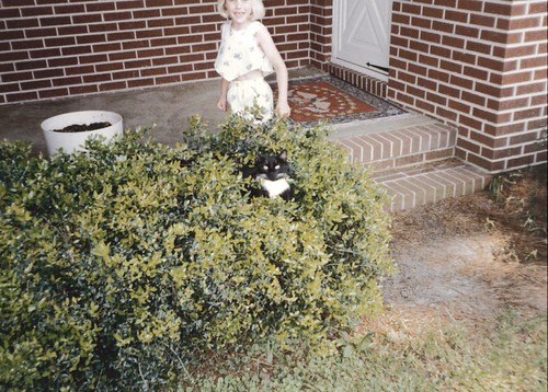 Shadow_05 in the bush by ebgwd, Alicia and Shadow in bush on front porchga ebro waynesboro chrisbrown christopherbrown sunsetdrive s