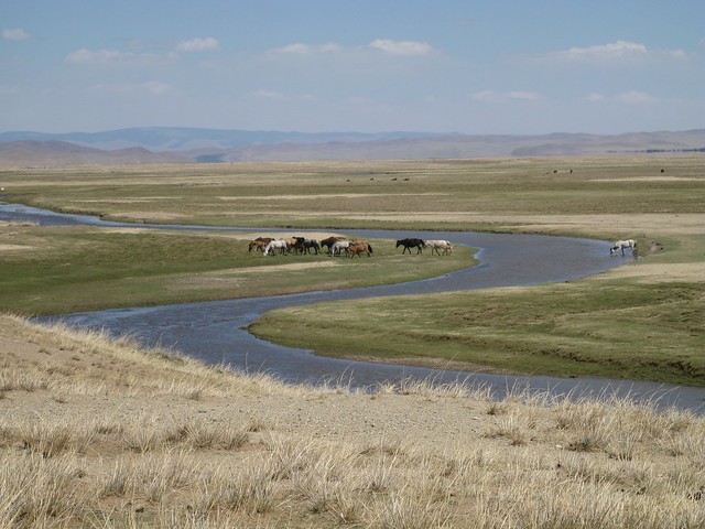 Mongolia 2011: Idyllic landscape