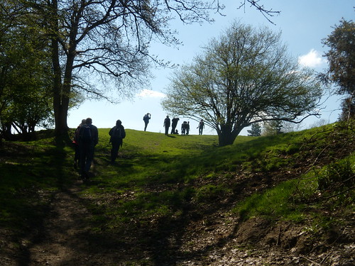 Up a hill Pulborough to Amberley