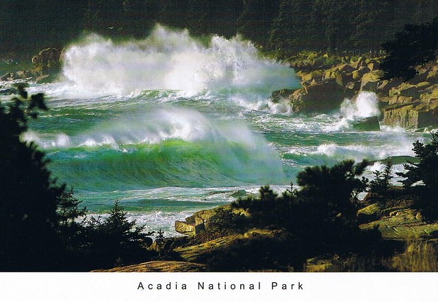 Acadia National Park postcard - available