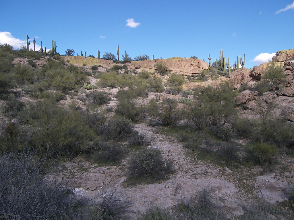 Dutchman Trail