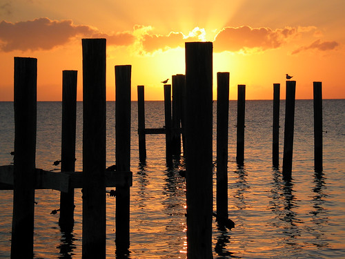 ocean sunset sky orange sun water birds waves bahamas eleuthera