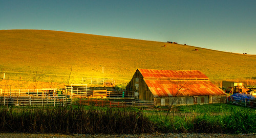 california barn truck landscape nikon cattle farm hill fences pastoral livermore hdr tarp d300