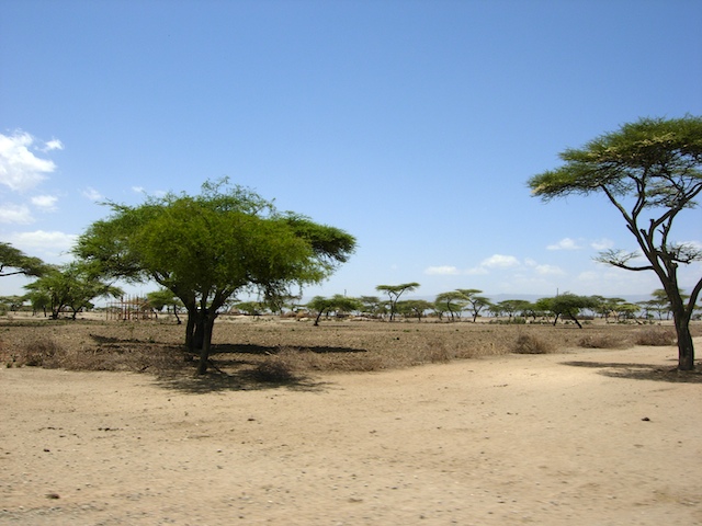 Langano area, Ethiopia. 03-05-2009.