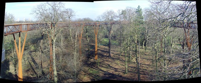 Kew Treetop Walkway Panorama