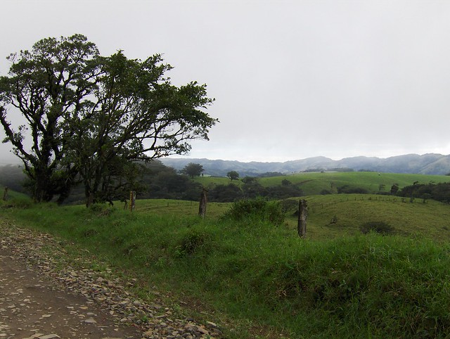 Costa Rica near Monteverde
