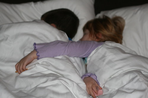 27th March 2009 - Sleeping partners (in crime) | by fallen..angel