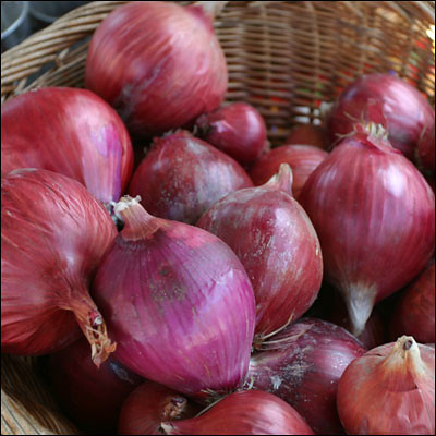 Market onion