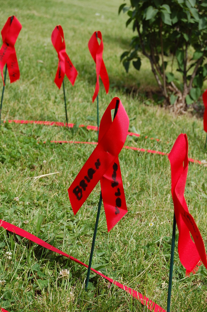 Red Ribbon Pathway DSC_2885 | Red Ribbon AIDS Walk 2009 Delaware Park | Robin | Flickr
