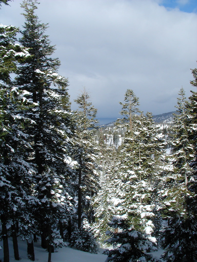 Snowy view from our balcony