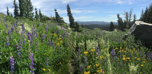 PCT: Day 84