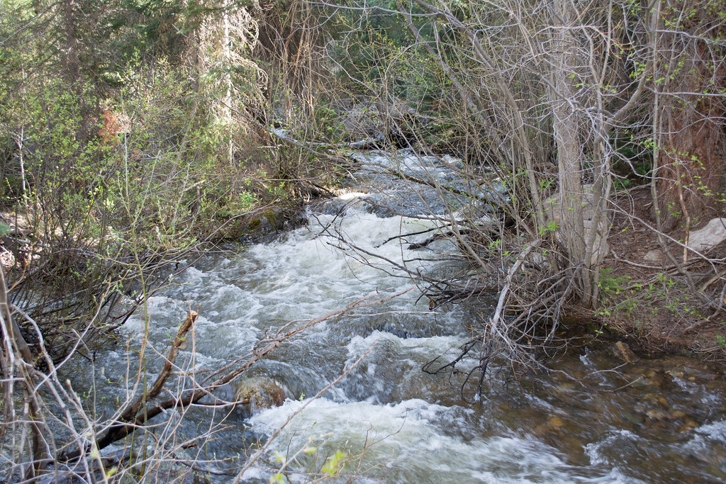Ditch Trail