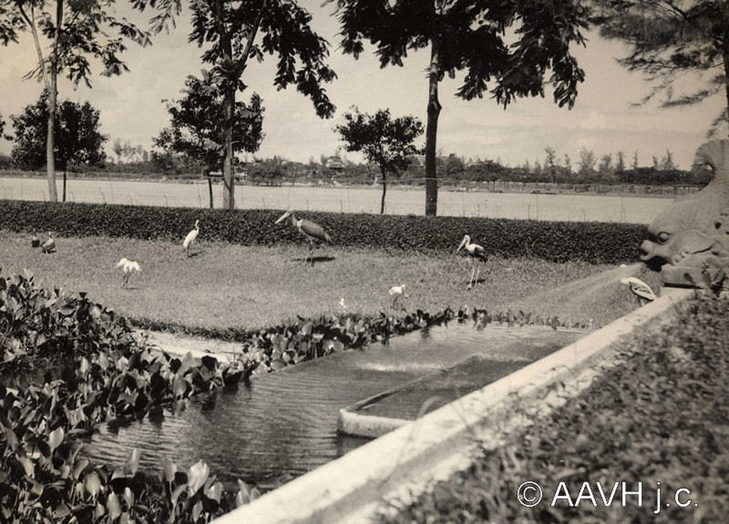 AP1666-Desmarets - Hué, 1936 – Parc de la rive gauche – Les oiseaux