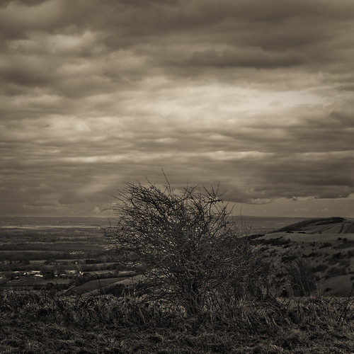 IMG_1236-Edit-2 by Frank Darnell