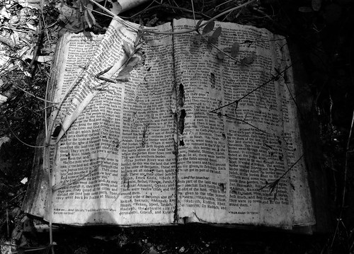 Into the Promised Land, Joshua 18, Abandoned Bible, White Oak Bayou, Houston, Texas 0420091320BW by Patrick Feller