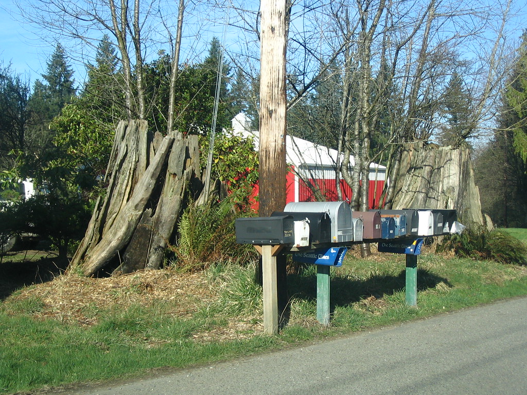 Mailboxes and tree stumps