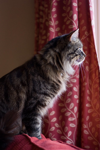 Birdwatching | by * Kes *