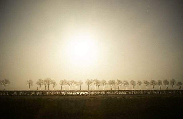The morning train - Dutch landscape