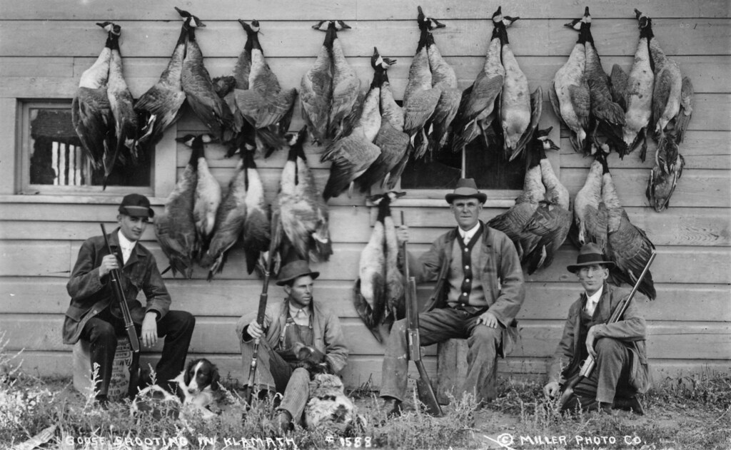 Goose hunting in Klamath County, Oregon.