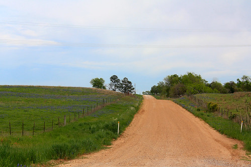 road flowers blue nature rural spring texas dirtroad wildflowers hillcountry bluebonnets