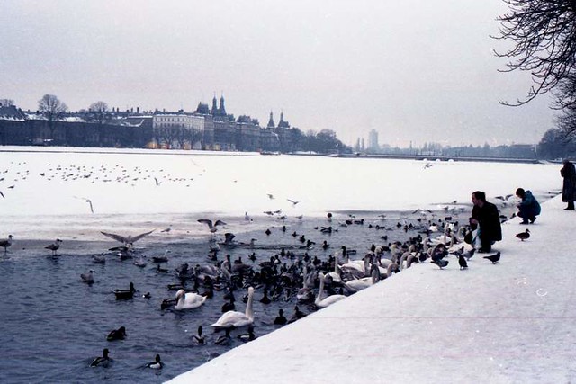 Winter in Denmark (January 1987)