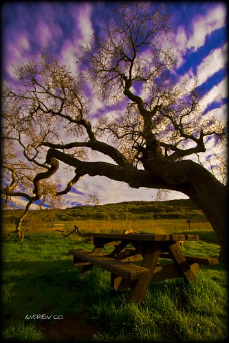blue tree green grass clouds canon bench table oaktree 30d efs1022mm mywinners platinumphoto theunforgettablepictures atomicaward