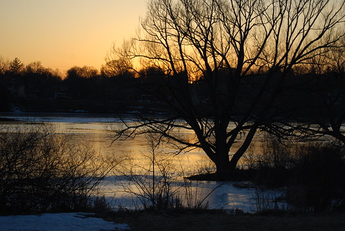 trees sunset ontario canada ice water silhouette peterborough otonabeeriver