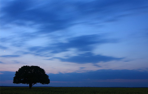 blue sunset sky moon tree clouds canon romania arges muntenia canon450d flickraward canoneos450d canondigitalrebelxsi travelsofhomerodyssey tokina1116mmf28atxdx