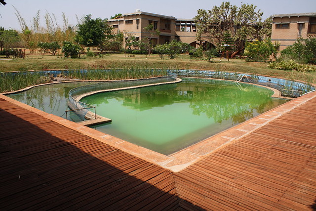 Ecosystem swimming pool