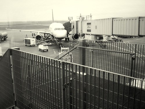 JetBlue | by torres21