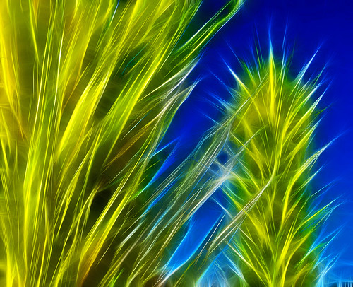 Chihuly Glass Sculpture (Photoshop Fractalius Filter) by Melbie Toast