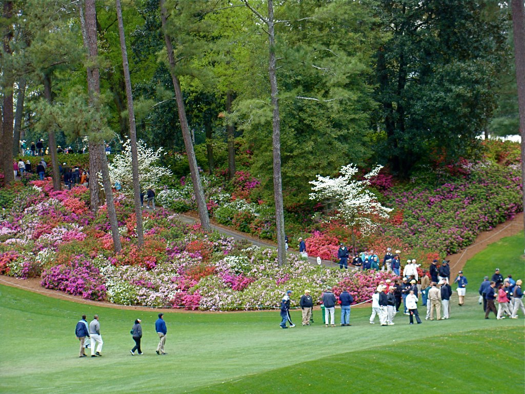Masters 2026: Model's Shocking Picks in $18M Battle