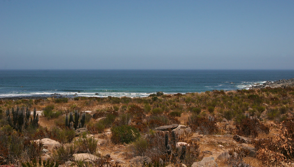 Enjoy Coquimbo