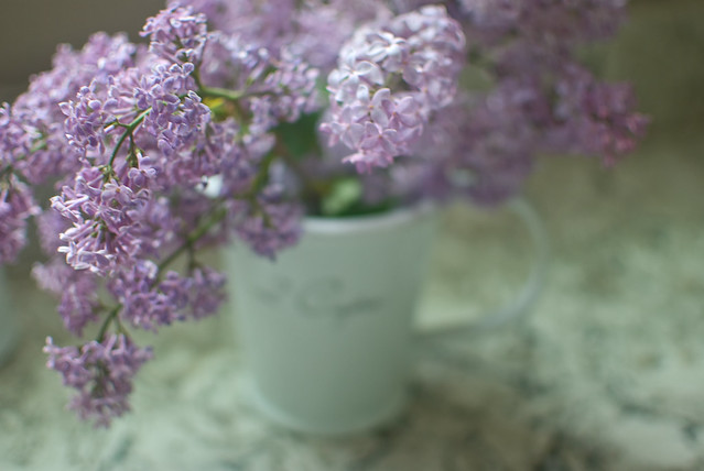 Kitchen Lilacs