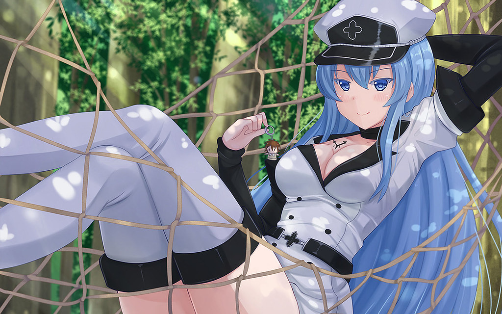 Esdeath Ice Queen Anime Akame Ga Kill Wallpaper Free Downl Flickr