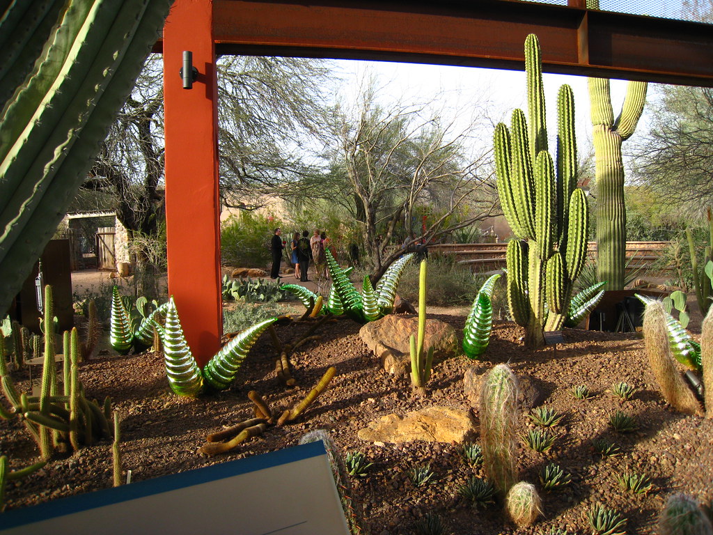 Chihuly At Desert Botanical Gardens Dru Bloomfield Flickr