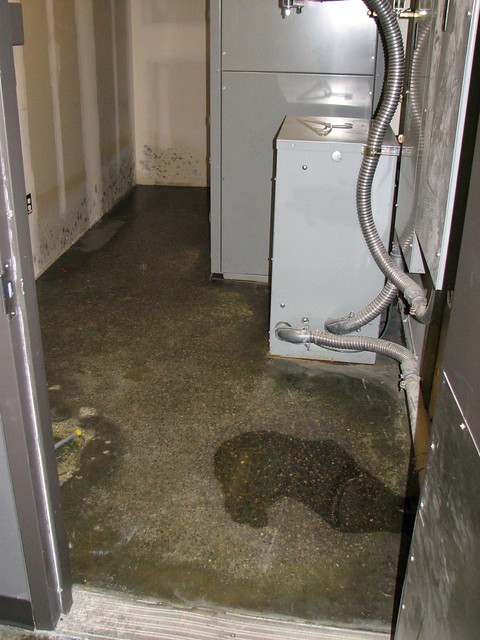 Water in the Electrical Room