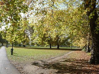 Clapham Common in October | aga Wala | Flickr