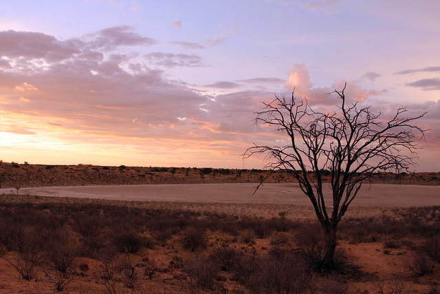 Bitterpan Sunset, Kalahari